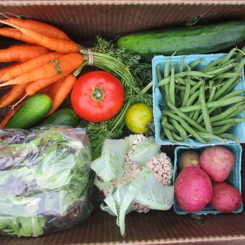 King Hill Farm — pasture-raised beef producer in Penobscot, Maine