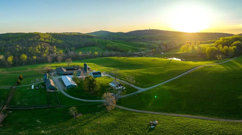 Kinloch Farm — pasture-raised beef producer in The Plains, Virginia