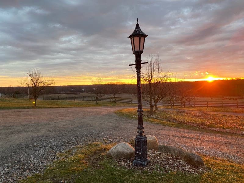 Lamppost Farm — pasture-raised beef producer in Columbiana, Ohio