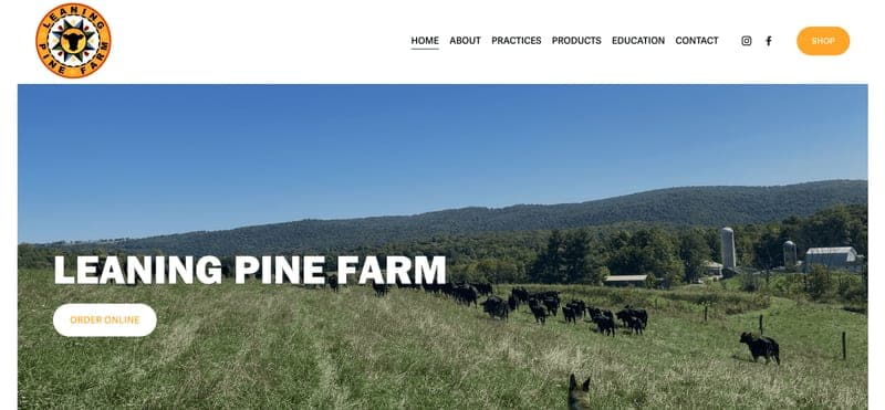 Leaning Pine Farm — pasture-raised beef producer in Mt. Savage, Maryland