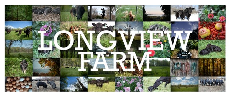 Longview Farm — pasture-raised beef producer in Accokeek, Maryland