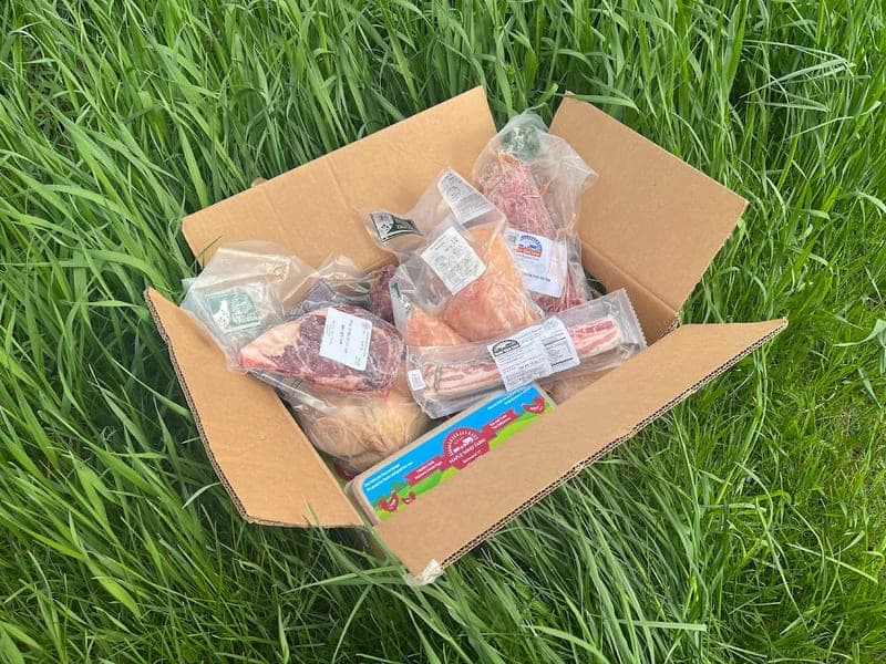 Maple Wind Farm — pasture-raised beef producer in Richmond, Vermont