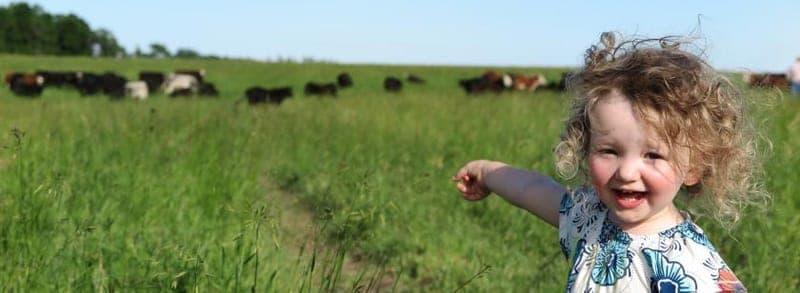 McCann's True Cost Farm — pasture-raised beef producer in Montrose, Minnesota
