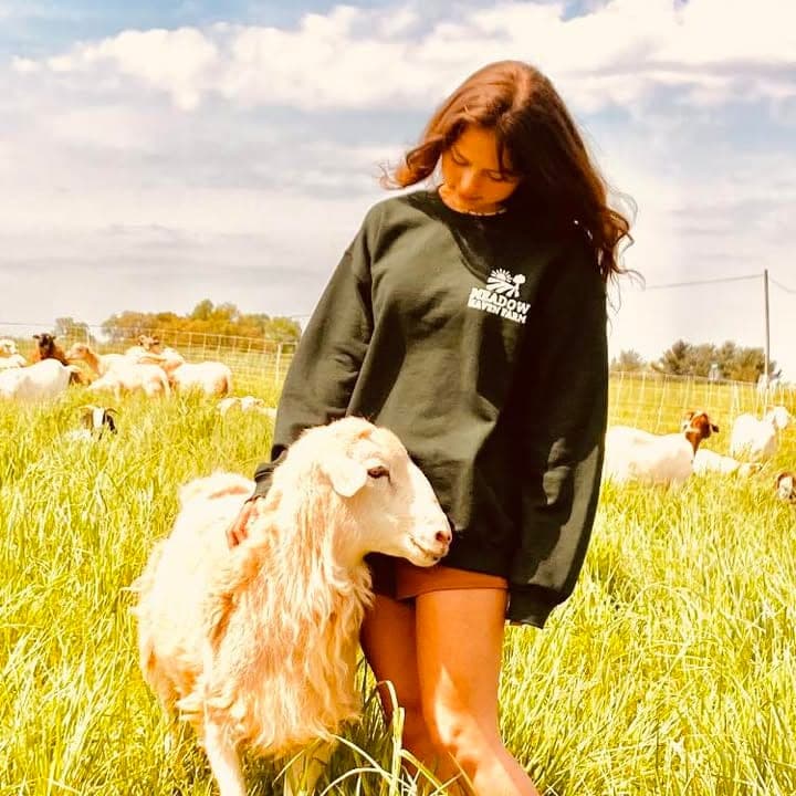 Meadow Haven Farm — pasture-raised beef producer in Oxford, Pennsylvania
