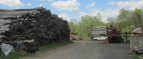 Mill Brook Farms — pasture-raised beef producer in Windsor, Connecticut
