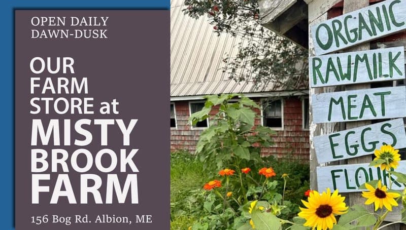 Misty Brook Farm — pasture-raised beef producer in Albion, Maine
