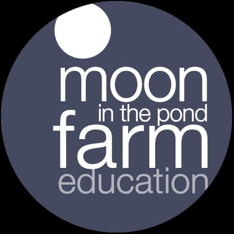 Moon In The Pond Farm — pasture-raised beef producer in Sheffield, Massachusetts