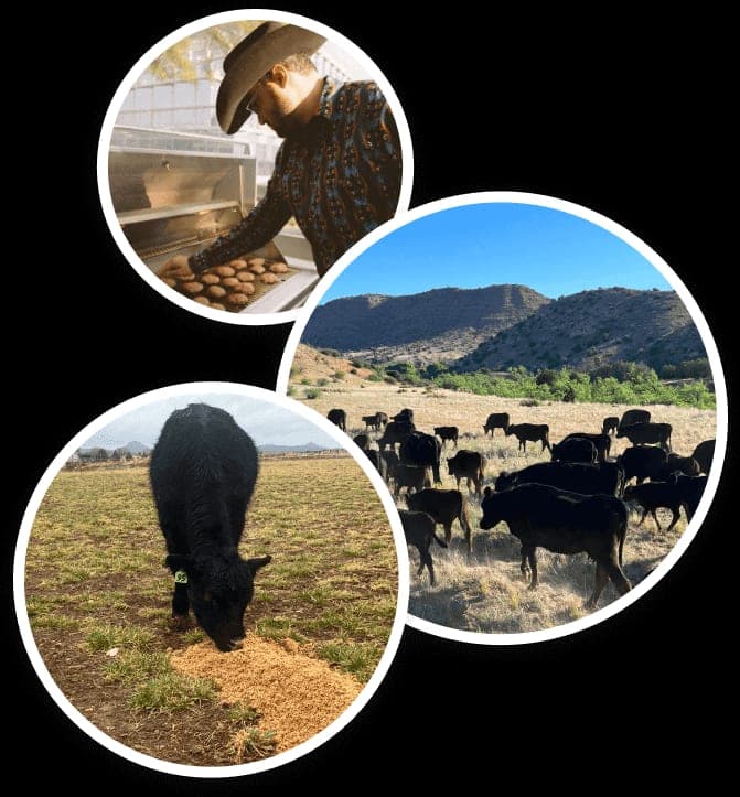 Moon River Beef — pasture-raised beef producer in Phoenix, Arizona