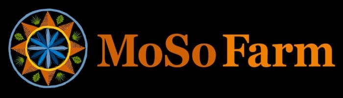 Moso Farm — pasture-raised beef producer in Athens, Ohio