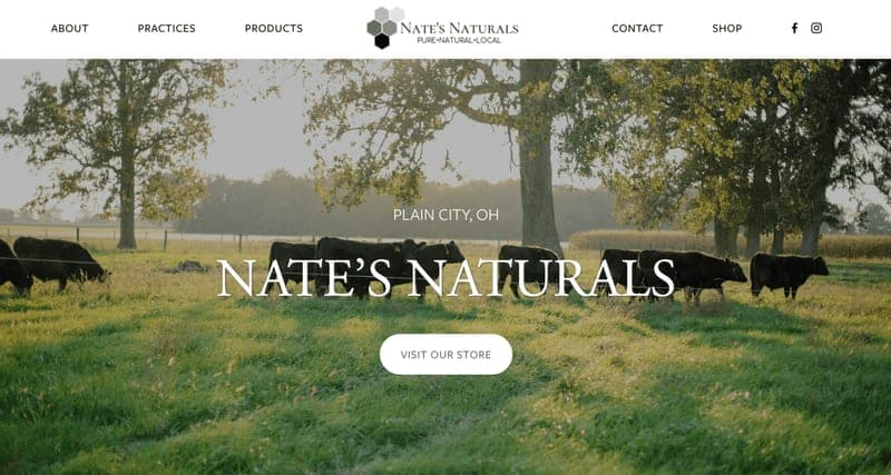 Nate's Naturals — pasture-raised beef producer in Plain City, Ohio
