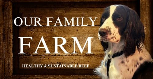 Our Family Farm — pasture-raised beef in Elk Point, SD