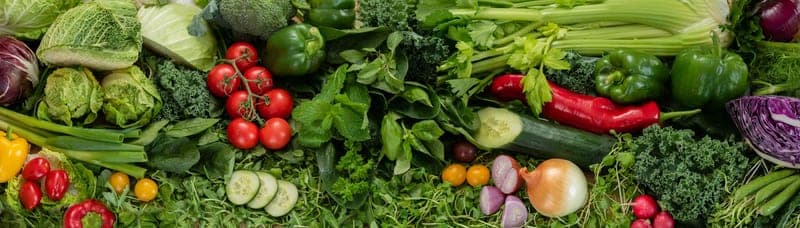 Oxford Farms — pasture-raised beef producer in Oxford, Massachusetts