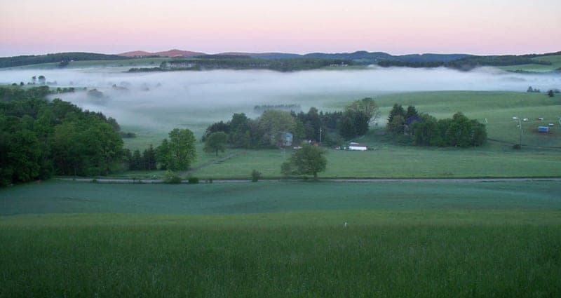 Possum Tail Farm — pasture-raised beef producer in Terra Alta, West Virginia