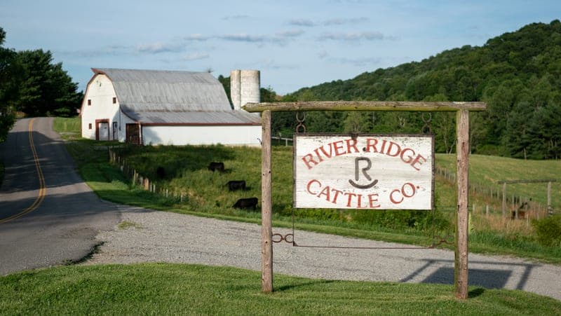 River Ridge Farm — pasture-raised beef producer in Independence, Virginia