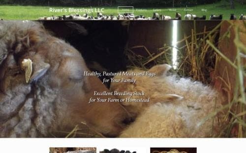 River's Blessings — pasture-raised beef producer in Coquille, Oregon