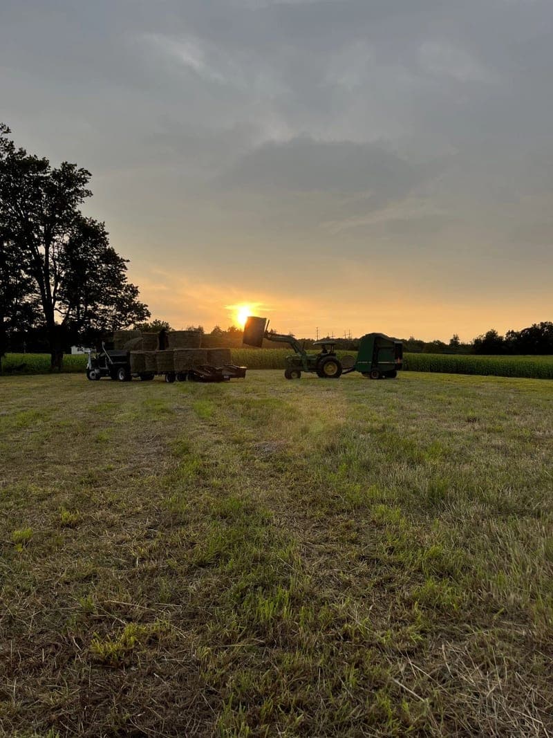 Rocky Acres Farm — pasture-raised beef producer in Sterling, Massachusetts
