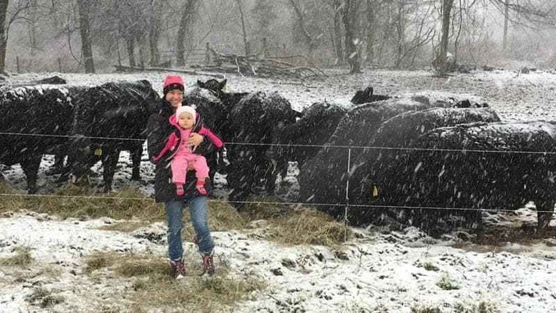Savage Hill Cattle Co — pasture-raised beef producer in Berlin, Connecticut