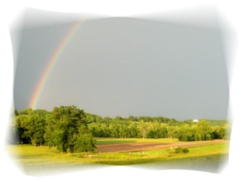 Semper Fidelis Ranch — pasture-raised beef producer in Eldridge, Missouri