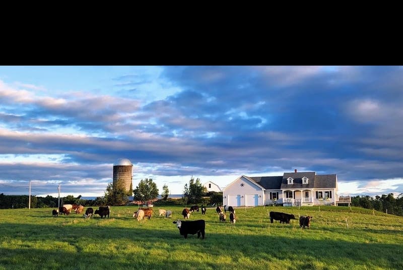 Shaw Farms — pasture-raised beef producer in South Paris, Maine