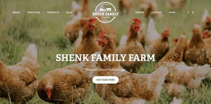 Shenk Family Farm — pasture-raised beef in Newport, NC