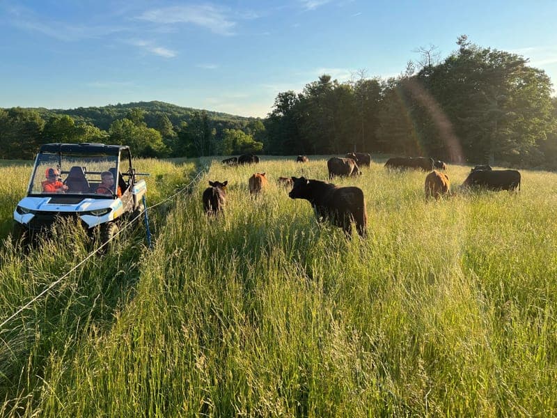 Smith Family Pastures — pasture-raised beef producer in Floyd, Virginia