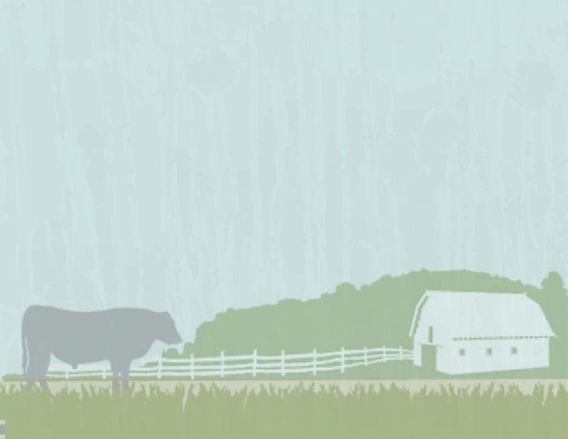 Stack Rock Mountain Farm — pasture-raised beef producer in Asheboro, North Carolina