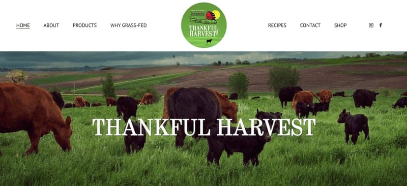 Thankful Harvest — pasture-raised beef producer in Holstein, Iowa