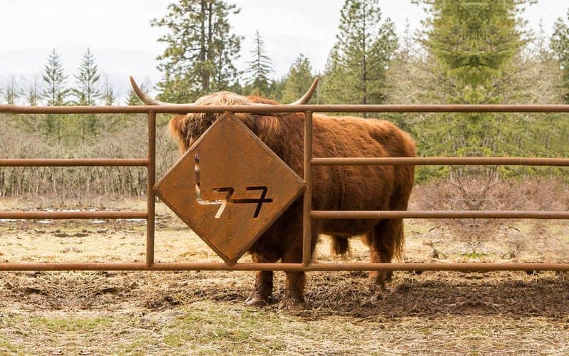 The Little Seven Seven Ranch — pasture-raised beef in Lyle, WA
