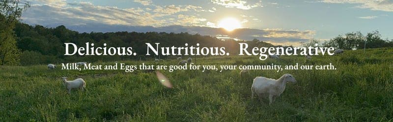 The Old Road Farm — pasture-raised beef in Washington, PA