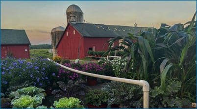 Tulmeadow Farm — pasture-raised beef producer in West Simsbury, Connecticut