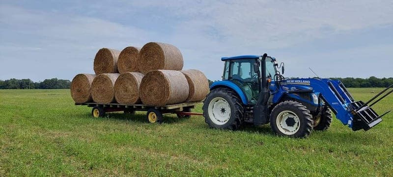 Vitality Pastures — pasture-raised beef producer in Bridgeton, New Jersey