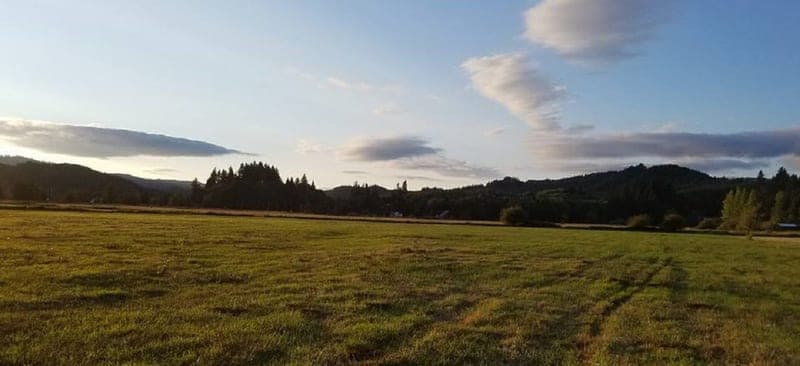 West Valley Beef — pasture-raised beef producer in Skamokawa, Washington