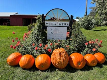 Wheel-View Farm — pasture-raised beef producer in Shelburne, Massachusetts