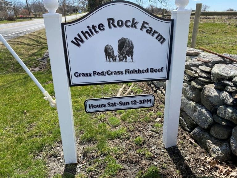 White Rock Farm — pasture-raised beef producer in Little Compton, Rhode Island