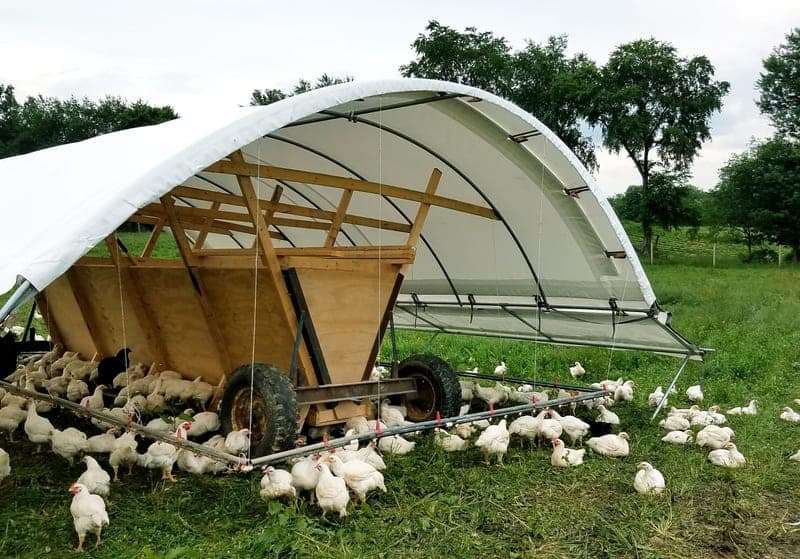 Wholesome Valley Farm — pasture-raised beef in Wilmot, OH