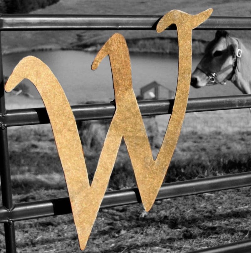 Wilson Ranch — pasture-raised beef producer in Heber Springs, Arkansas