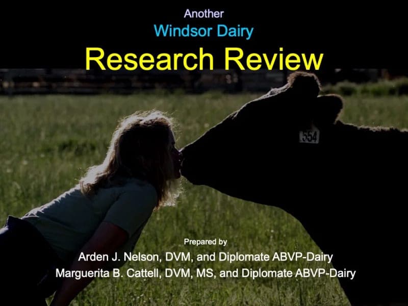 Windsor Dairy — pasture-raised beef producer in LaPorte, Colorado