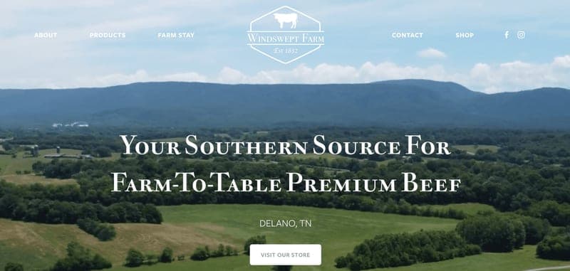 Windswept Grass Farms — pasture-raised beef in Delano, TN