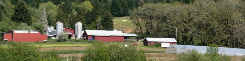 Winter Green Farm — pasture-raised beef producer in Noti, Oregon