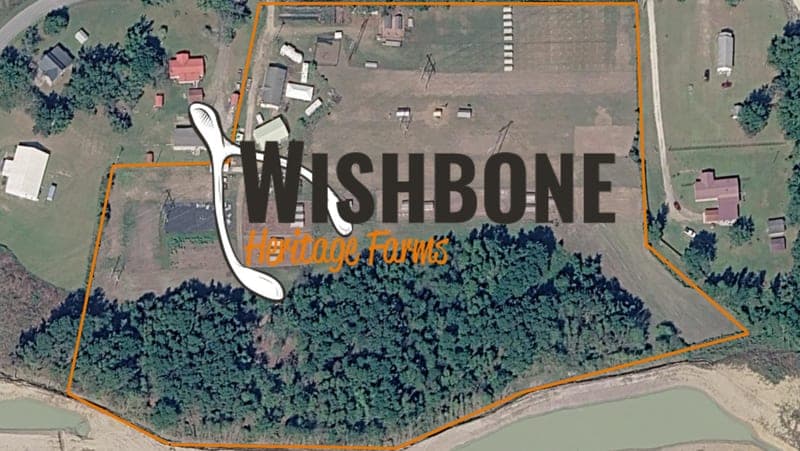 Wishbone Heritage Farms — pasture-raised beef producer in St. George, South Carolina